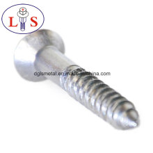 Hot Sales Carbon Steel Zinc Plated Csk Head Screws